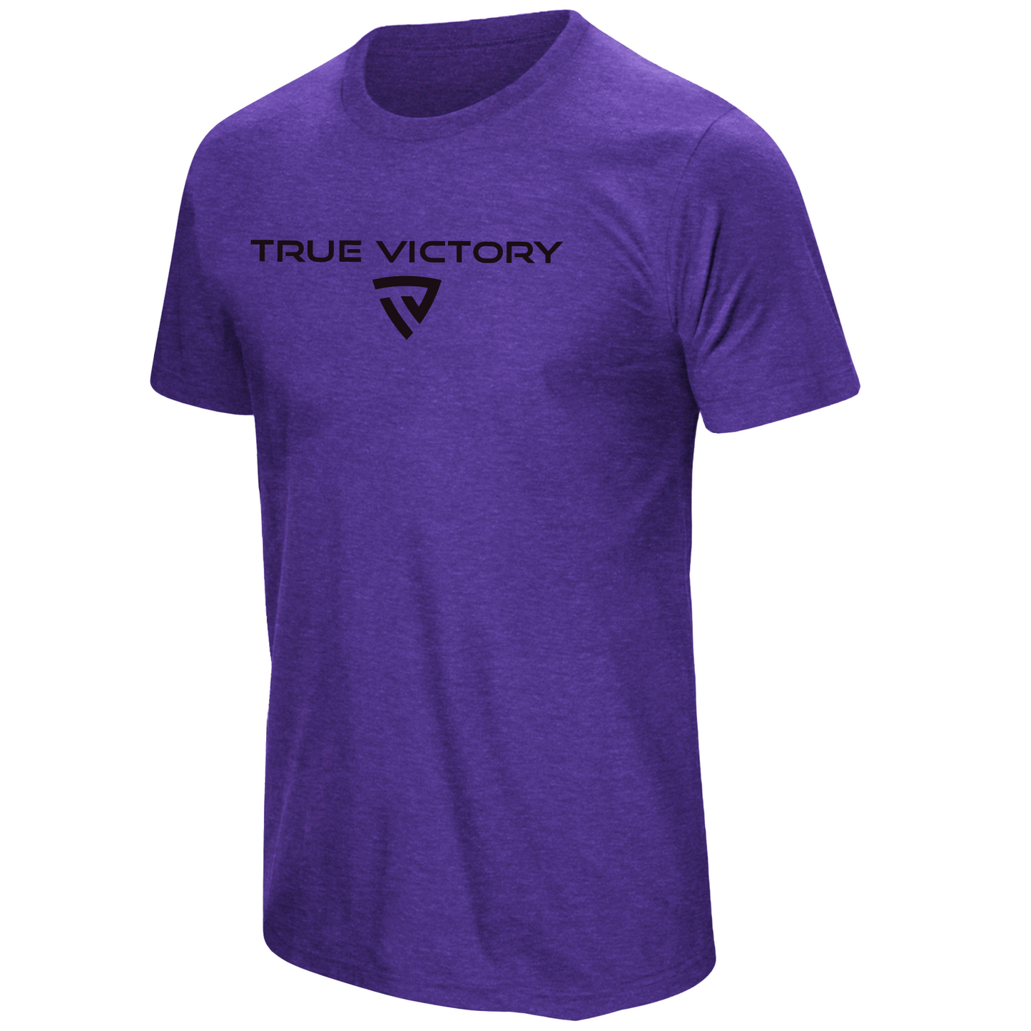 Men's Victorious Purple Tee