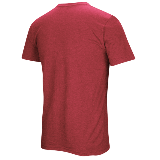TV-NP Youth Custom Cardinal Tee