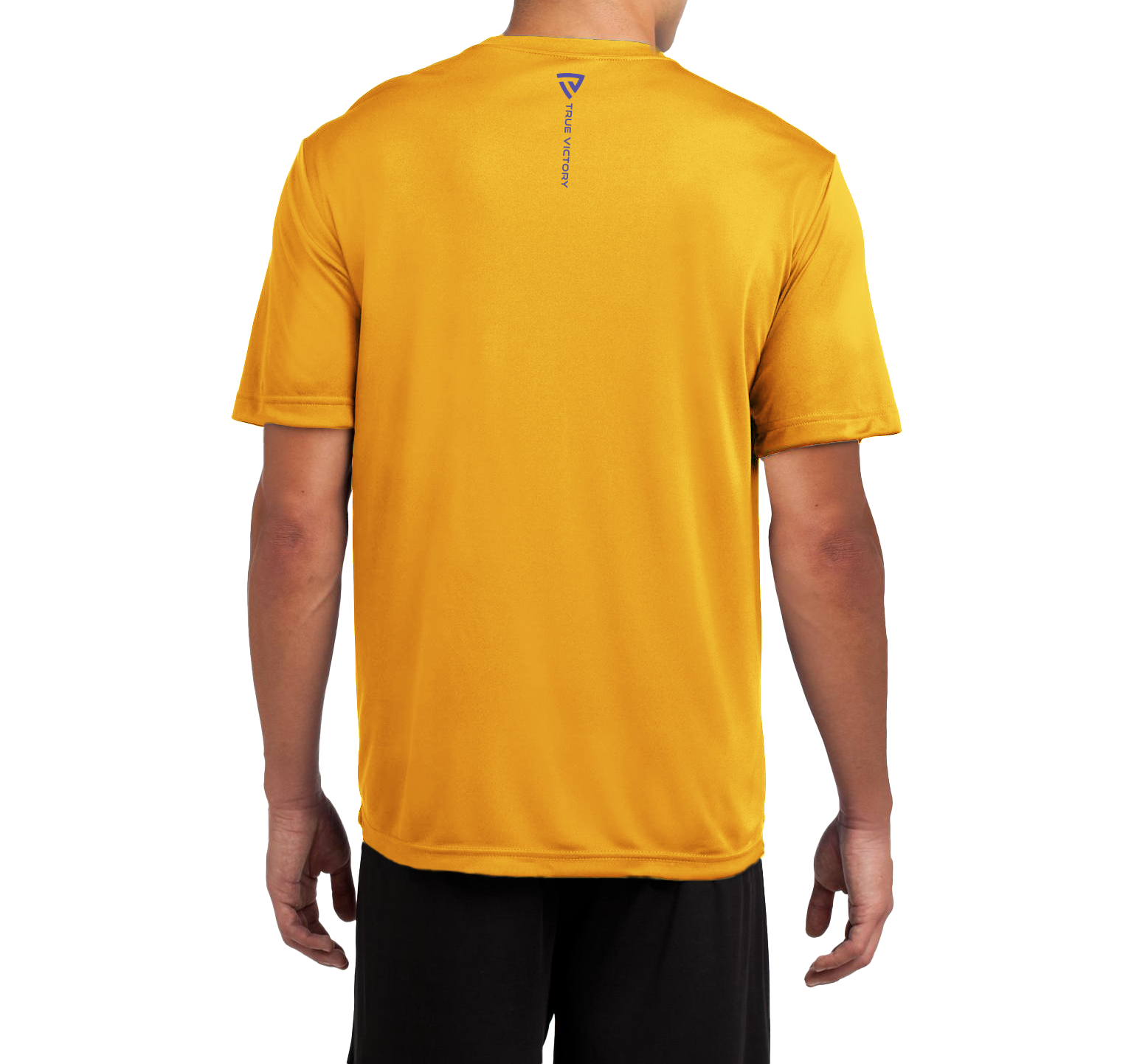 Men's Stars and Stripes Gold True-Dri™ Performance Tee