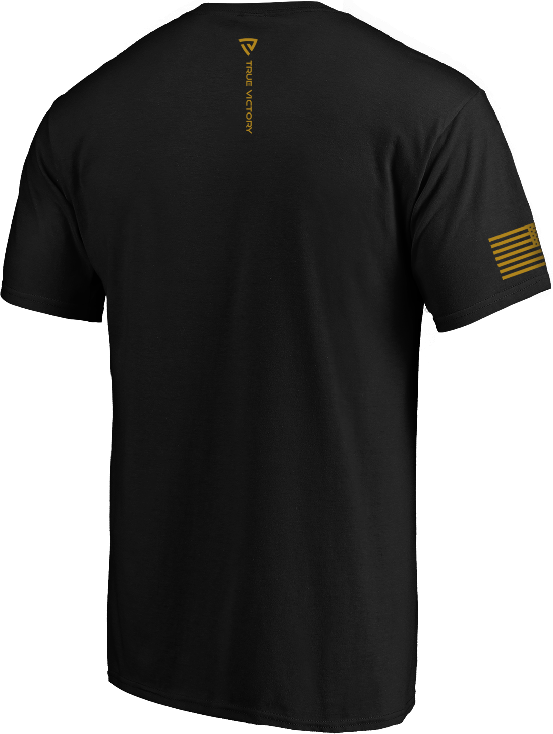 Men's Victorious x CR22 Tee
